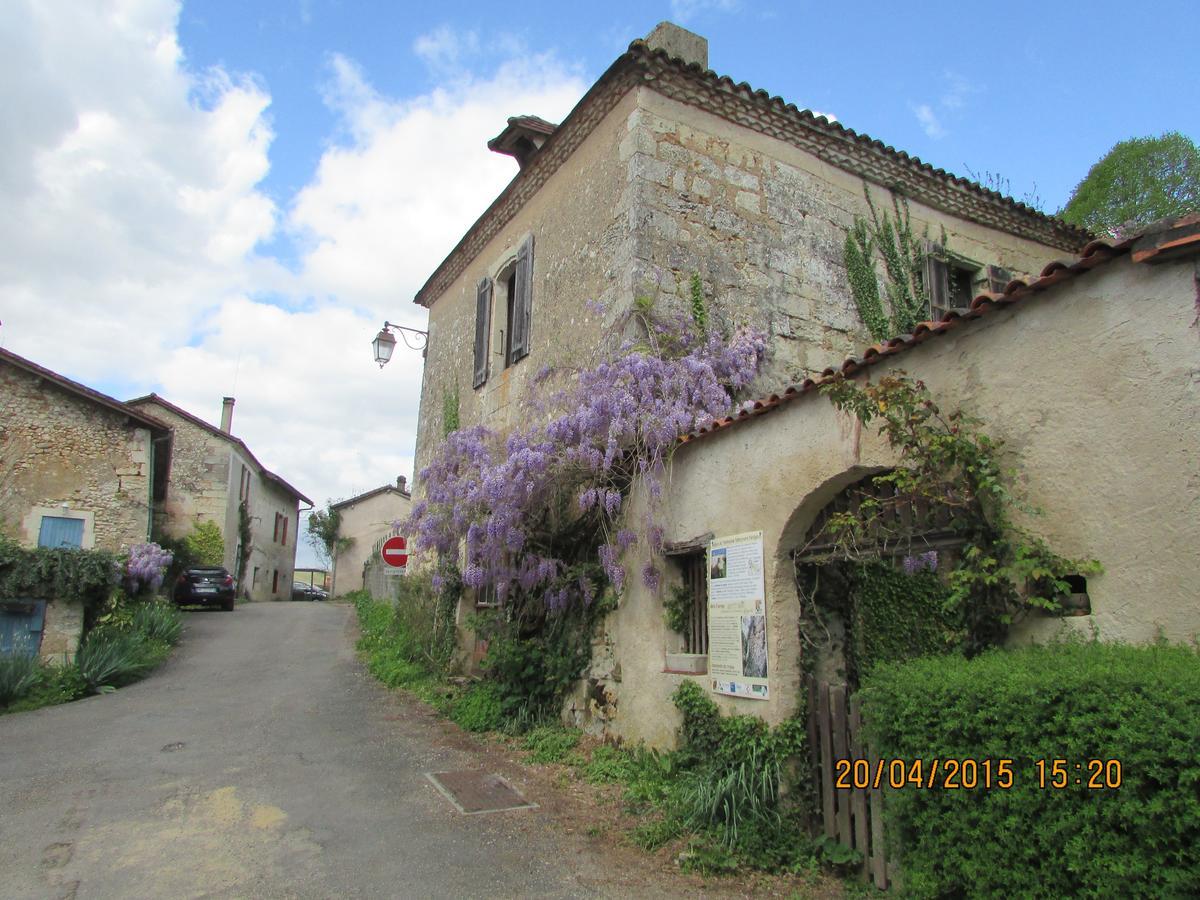 Hotel Le Relais Du Chateau Grignols  Exterior foto